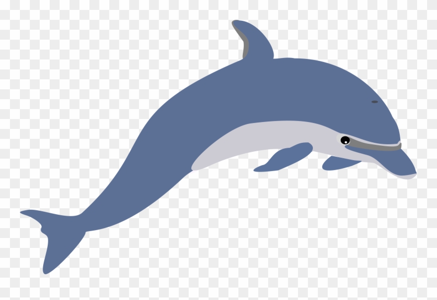 Jumping Dolphin Clip Art - Pink Dolphin Clipart - Png Download