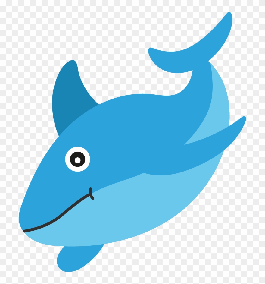 Blue Planet Aquarium On Twitter - Shark Clipart