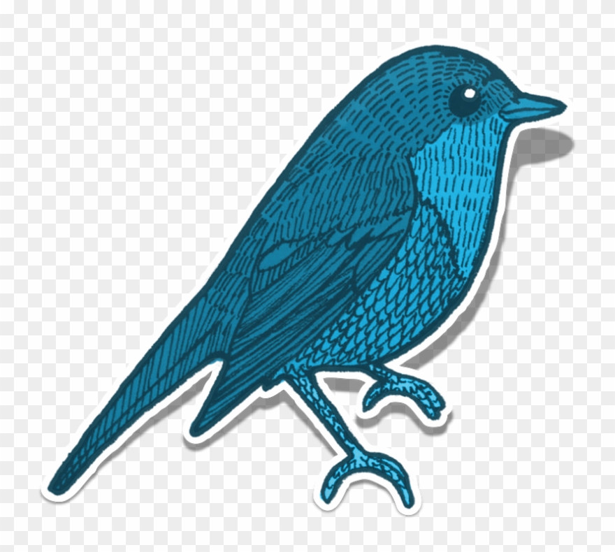 Blue Jay Clipart 18, Buy Clip Art - Cafepress Samsung Galaxy S8 Plus Case - Png Download