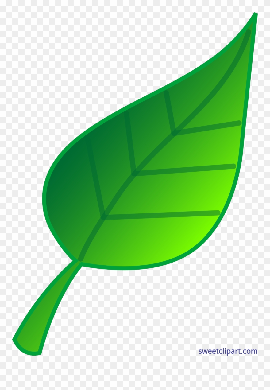 Green Leaf Clip Art - Png Download