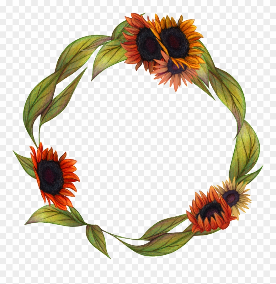 Hand Painted Flower Garland Png Transparent - Vẽ Hoa Hướng Dương Màu Nước Clipart