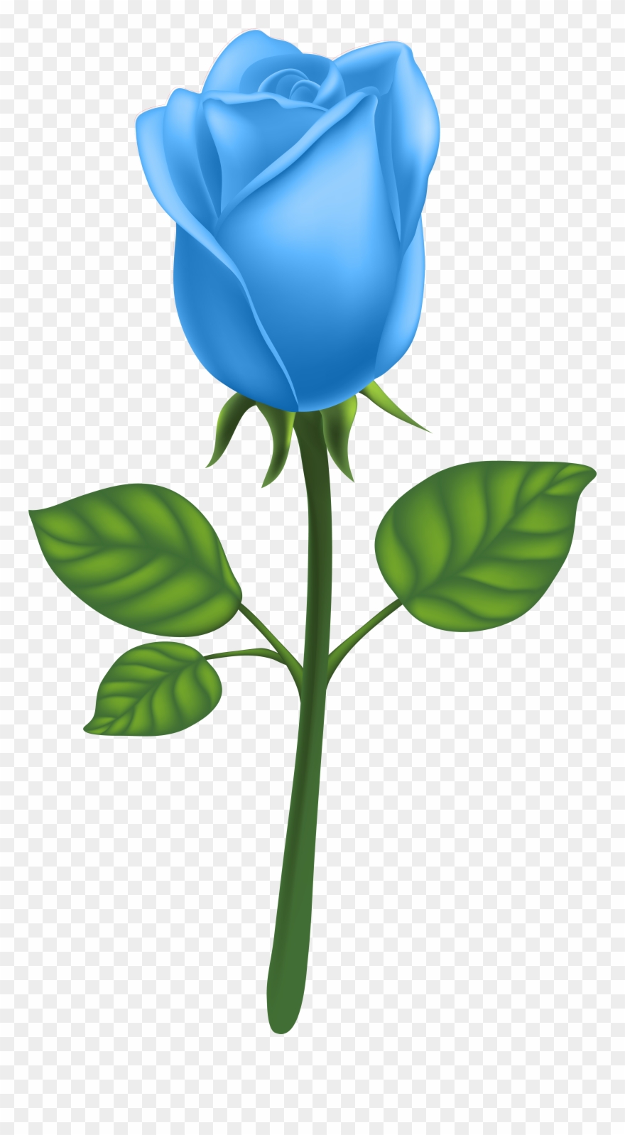 Clip Art - Png Download