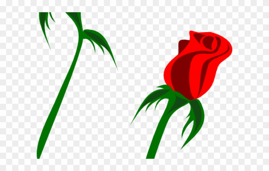 Valentine - Rose Auf Weiß Karte Clipart