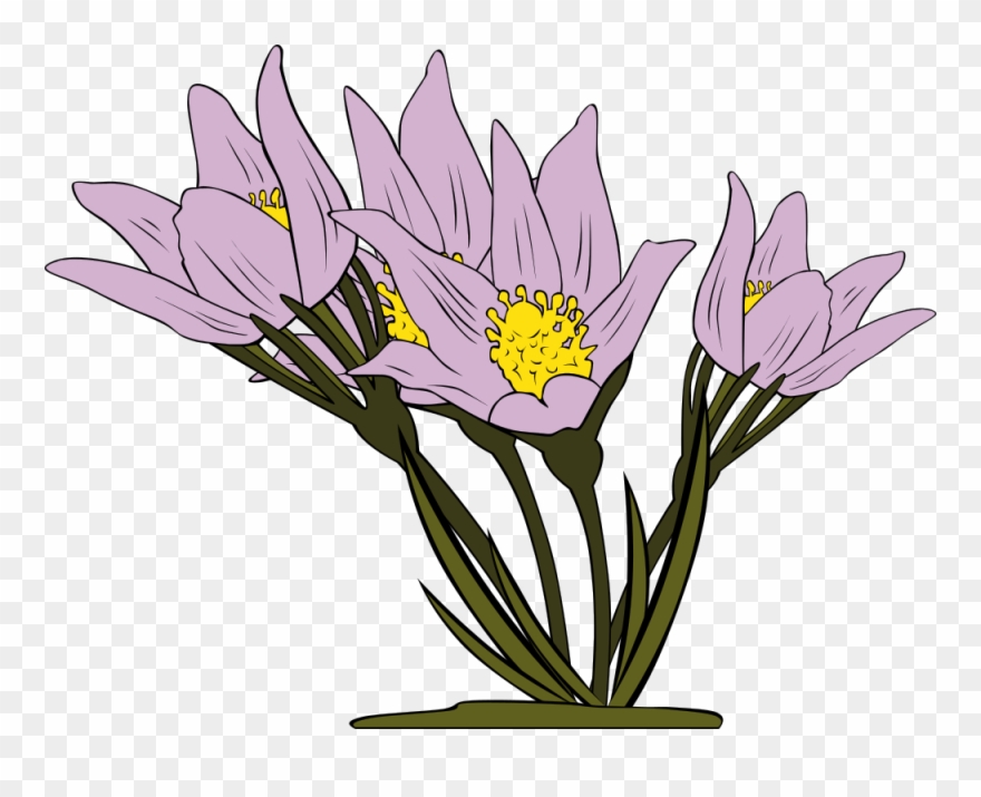 Clip Art Details - Crocus Flower Clip Art - Png Download