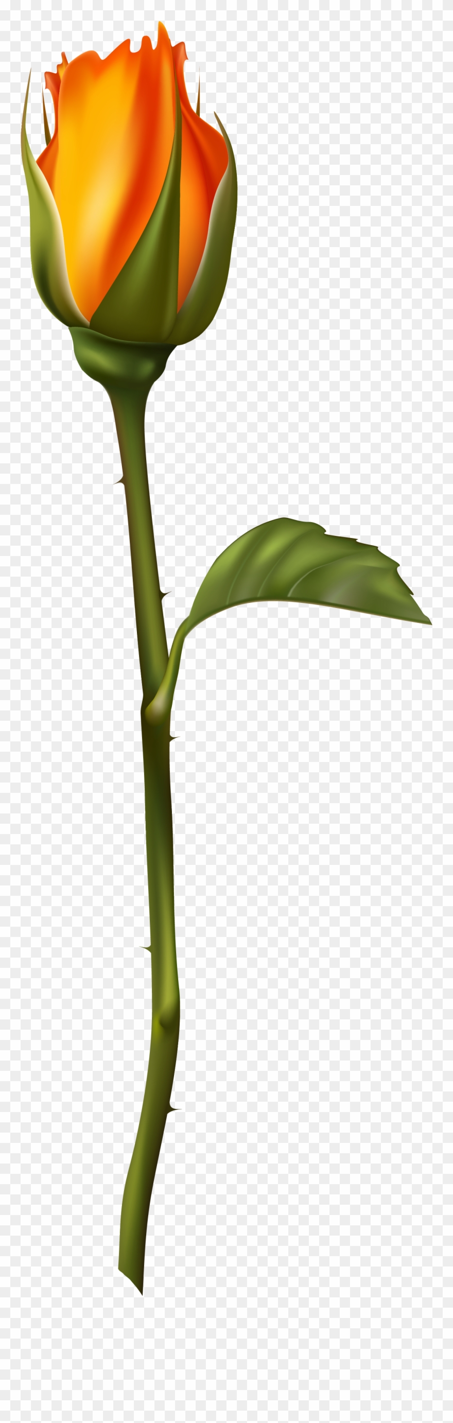 Paint Flowers, Happy Flowers, Decorative Paintings, - Sketsa Kuncup Bunga Mawar Clipart