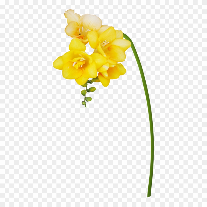 Яндекс - Фотки - Artificial Flower Clipart