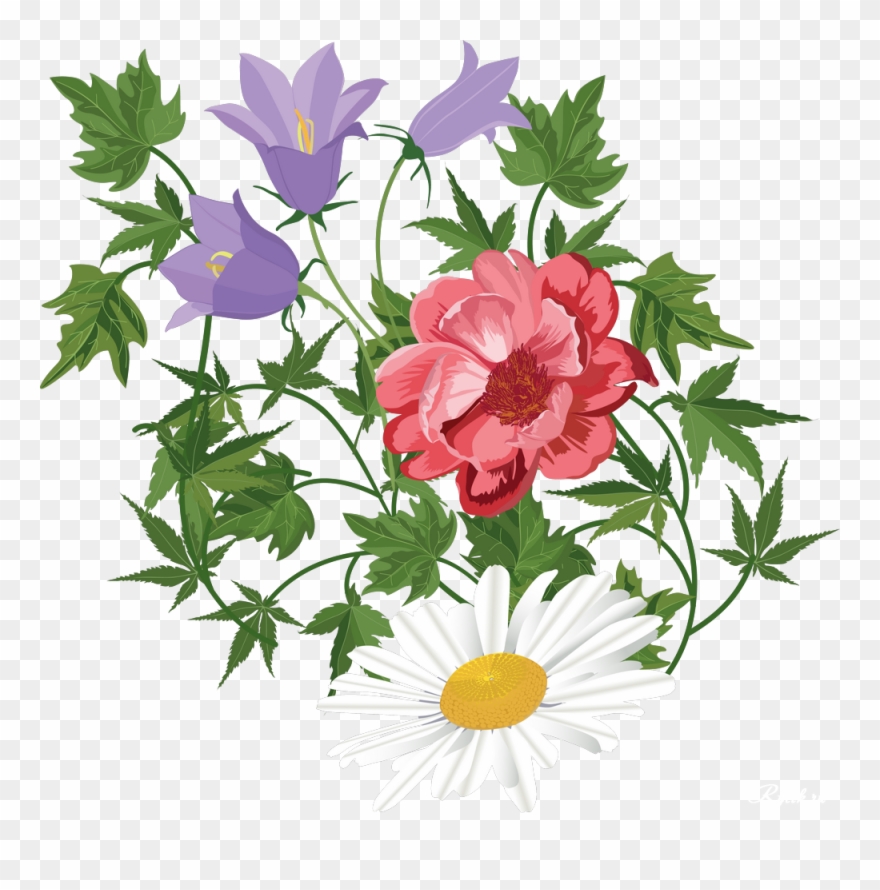 Flower Floral Design Clip Art Transprent - Flower - Png Download