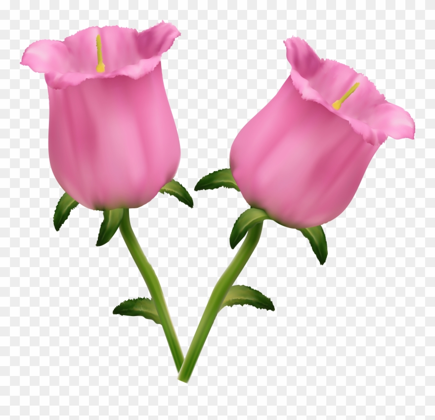 Free Pink Flower Clip Art Floral Peach Flower Clipart - Png Download