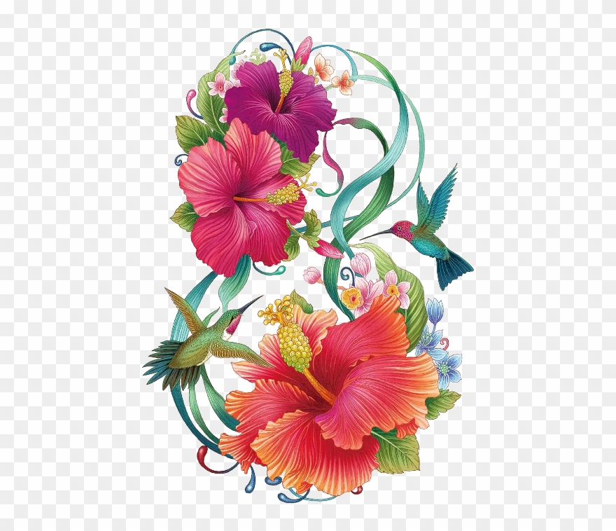 Fleur D Hibiscus Desssin Clipart