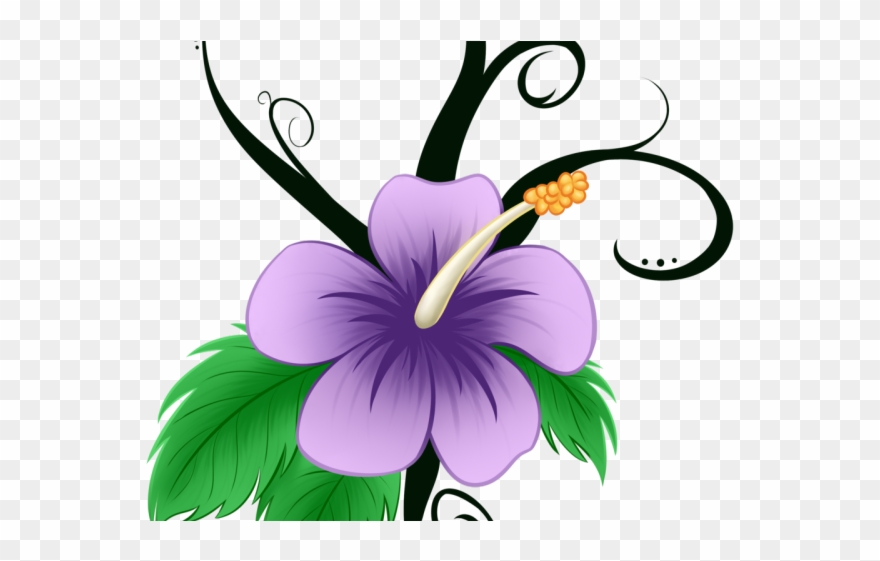 Peach Flower Clipart Native Flower - Clip Art - Png Download