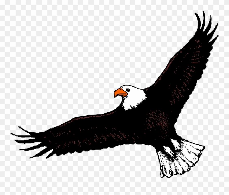 Bald Eagle Clipart Soaring Eagle - Clipart Of Flying Eagle - Png Download