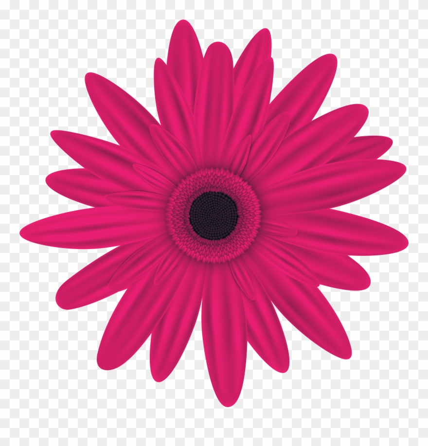 Purple Flower Logo Clipart