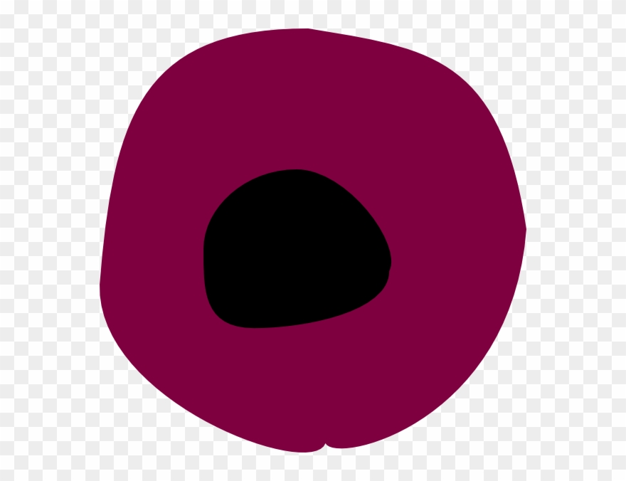 Circle Clipart