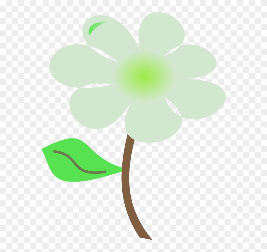 Petal Green Leaf Plant Stem Flowering Plant - Flower Clipart