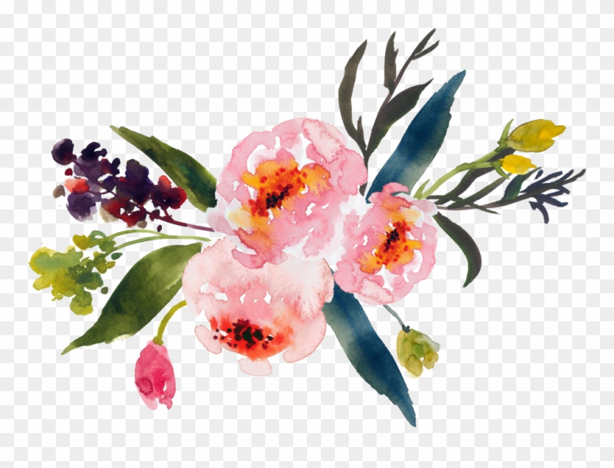 We Are Not Only A - Watercolor Flower Clipart Png Transparent Png