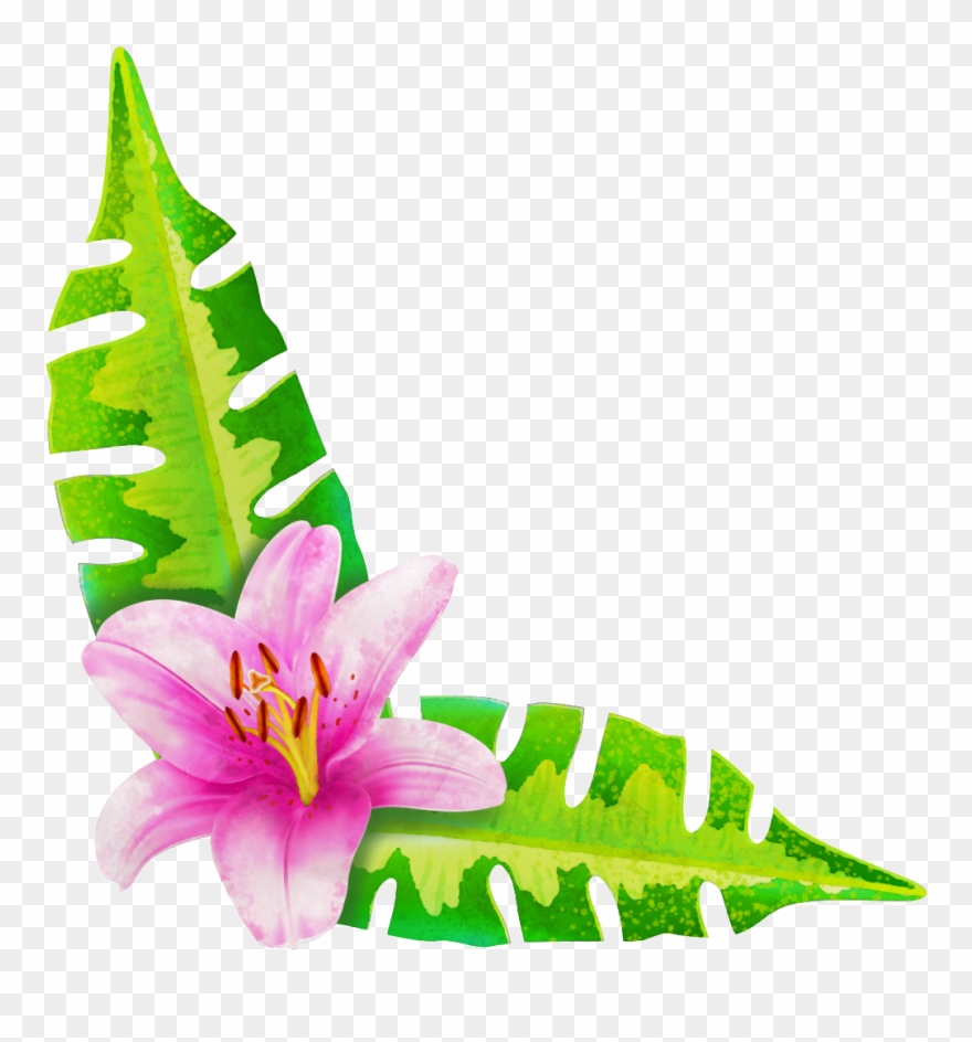 Painted A Flower Two Leaves Png Transparent - Lily Clipart