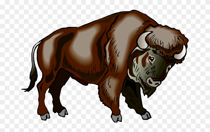 Buffalo Clipart Bison Native American Buffalo Clipart Png Download 1314430 Pinclipart