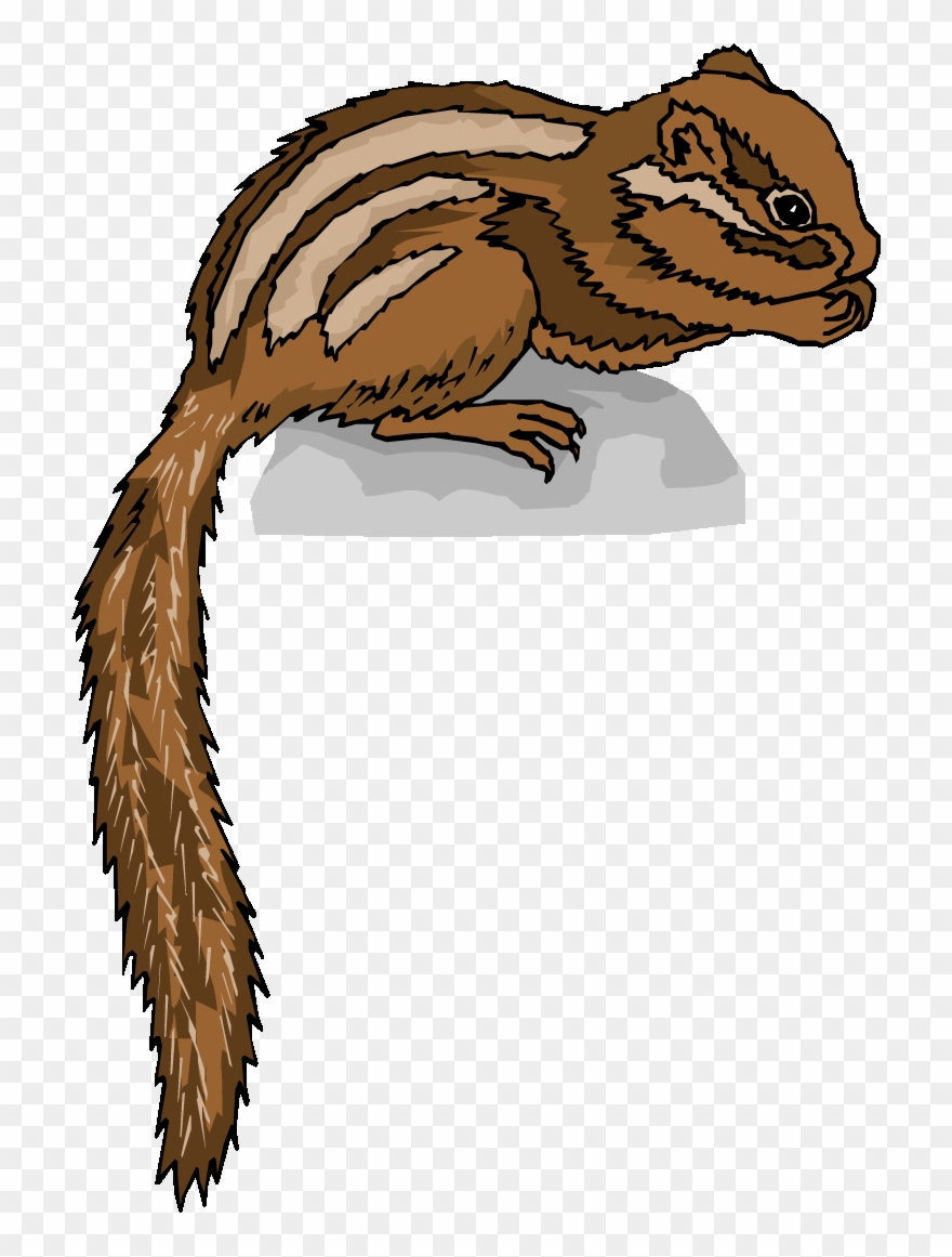 Chipmunk Clipart - Transparent Background Chipmunk Clipart Chipmunk Png