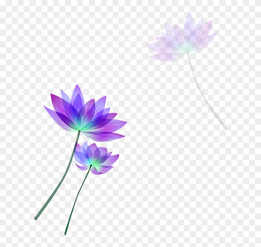 [ Img] - Lotus Vector Free Download Clipart