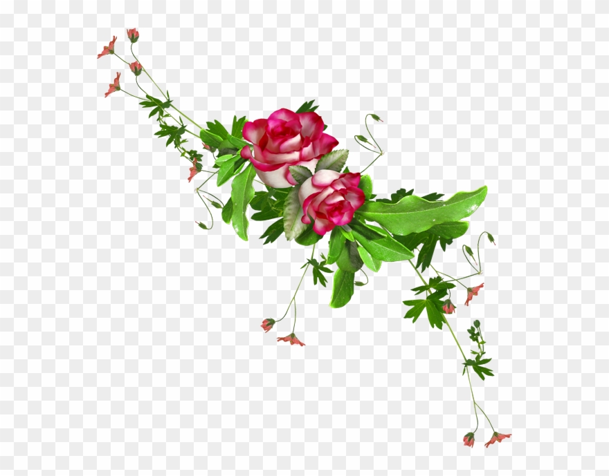 Radyo Tema Ve Çeşitli Sayfa Süslemeleri Için İdeal - Floribunda Clipart