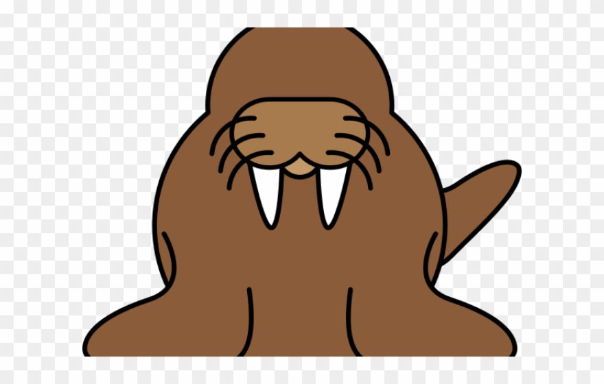 Sea Lion Clipart Transparent - Cartoon Walrus - Png Download