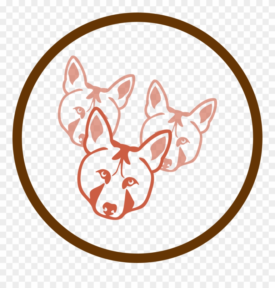 Survival And Population Size Estimates Of The Red Wolf Clipart