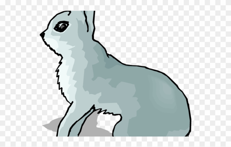 Arctic Wolf Clipart Arctic Rabbit - Snowshoe Hare Clipart - Png Download