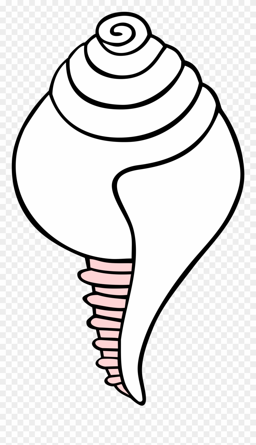 Conch Shell Drawing 18, Buy Clip Art - Clip Art Buddhist Symbols - Png Download