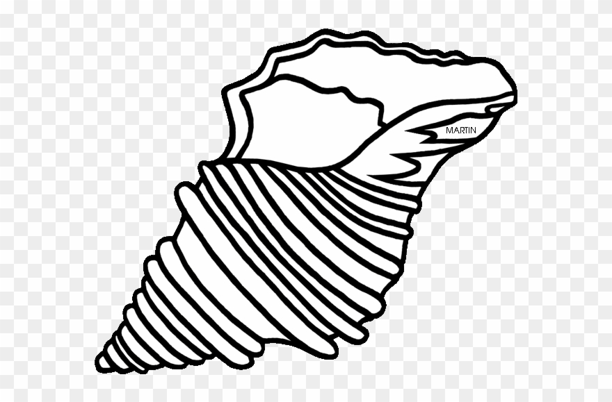 Massachusetts State Shell - Line Art Clipart
