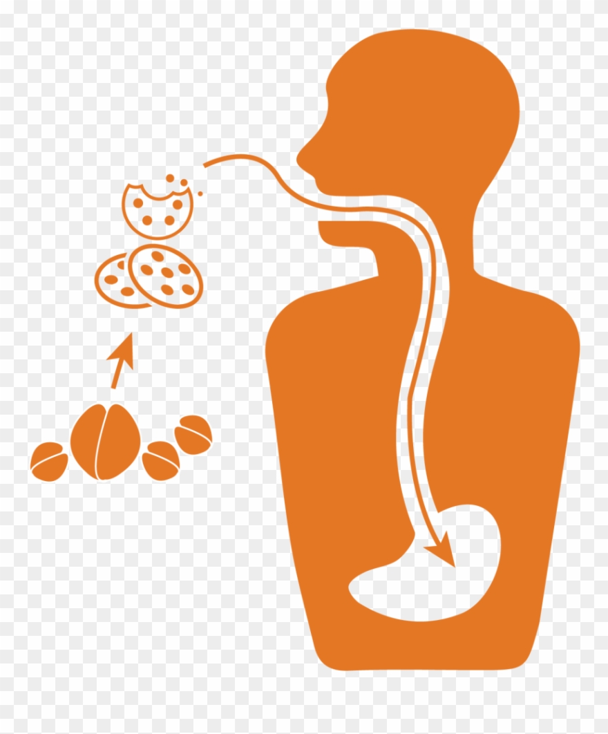 Impacts Our Food System - Peptic Ulcer Disease Clipart