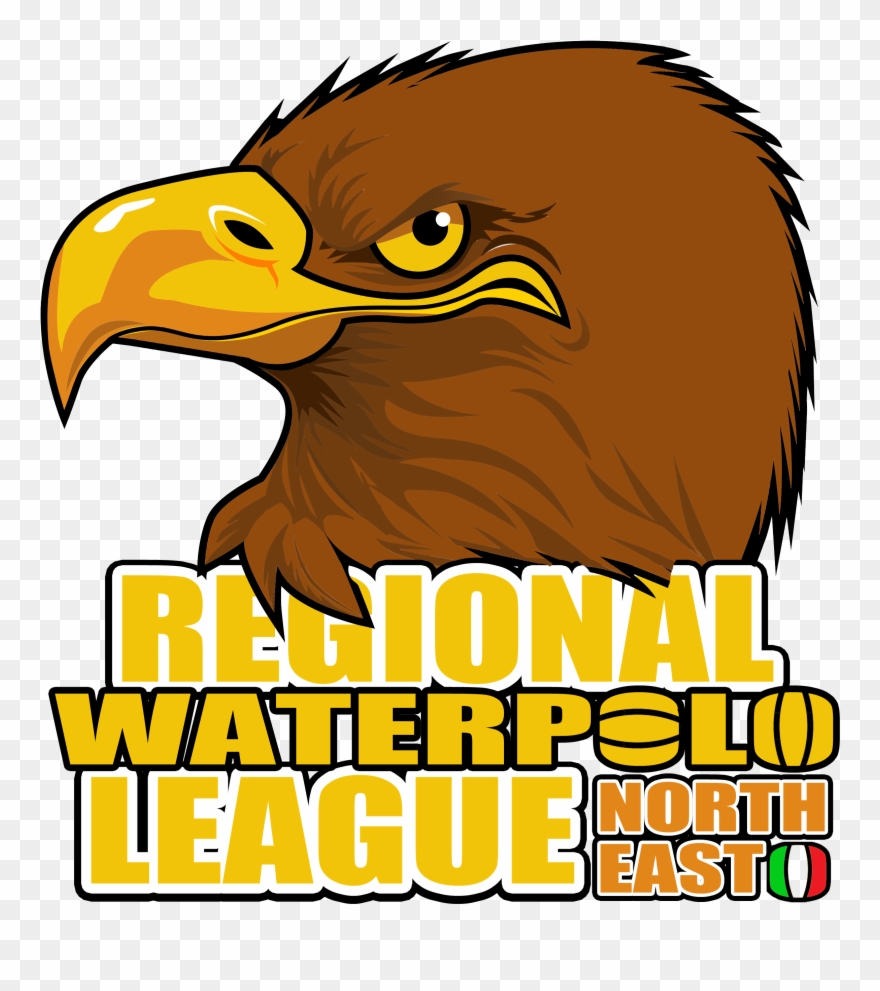 Regional League Ne - Water Polo Clipart