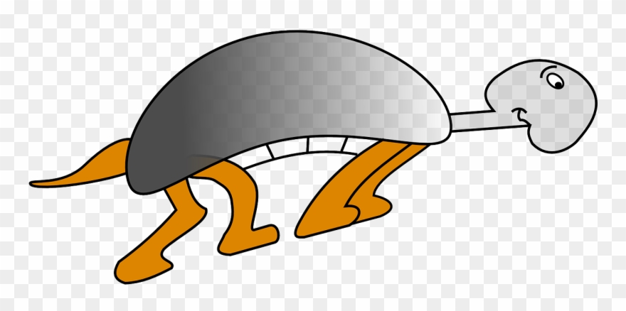 Turtle Animal Funny - Cartoon Turtle Shower Curtain Clipart