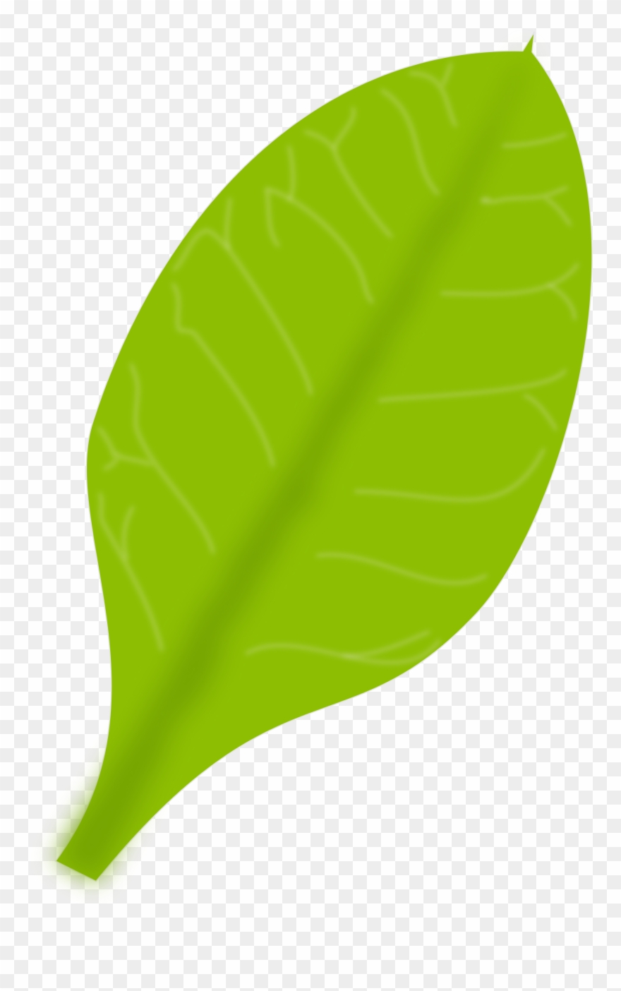 Yükle Public Domain Clip Art Image Illustration Of - Daun Cartoon Png Transparent Png
