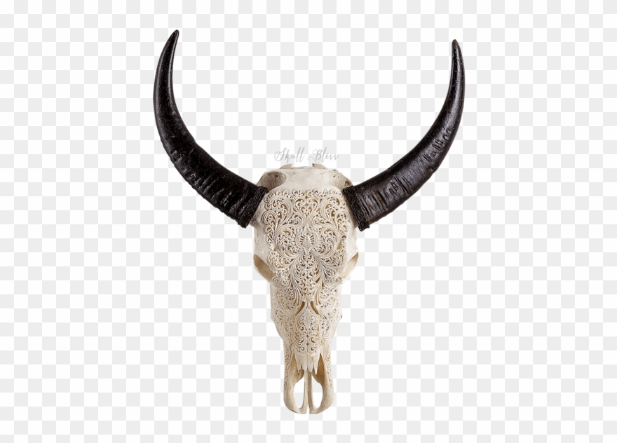 Carved Buffalo Skull - Skull Clipart