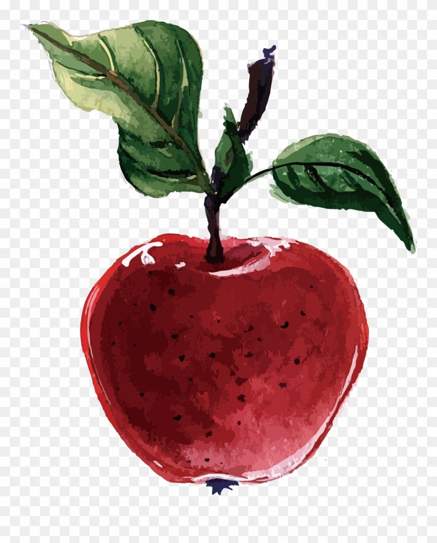 Image Free Packs Plant Based Diet Adobe Red Apple - Vector Graphics Clipart