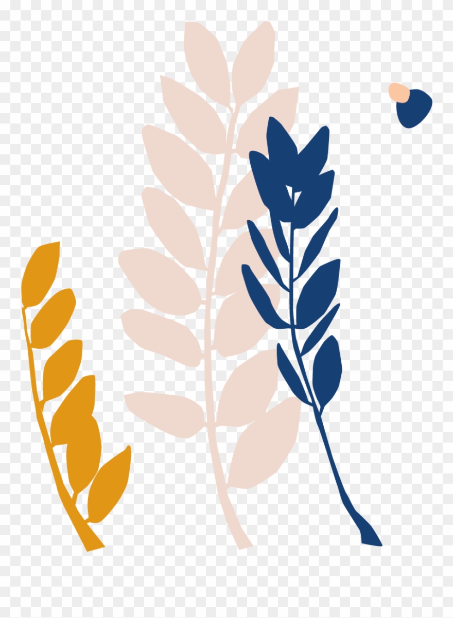 Bloomscape Zz Plant - Illustration Clipart
