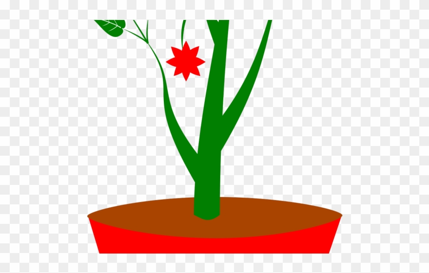 Flowerpots Clipart Plant Pot - Clip Art - Png Download