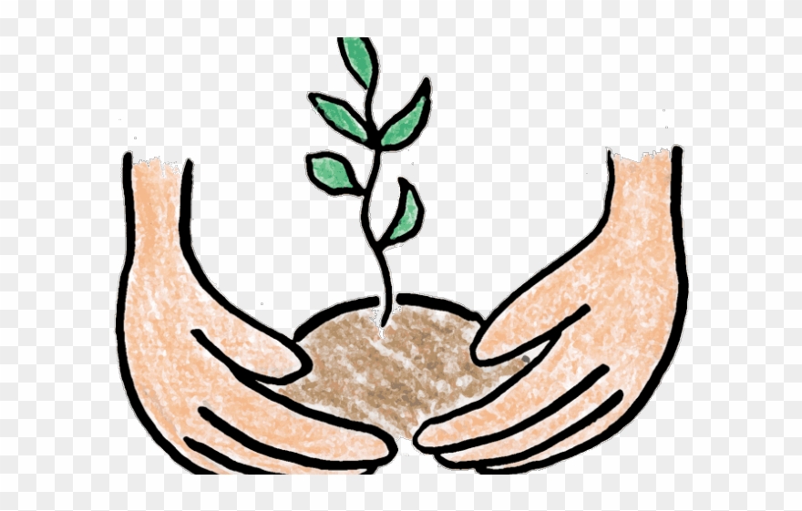 Pot Plant Clipart Baby - Tree Planting Clip Art - Png Download