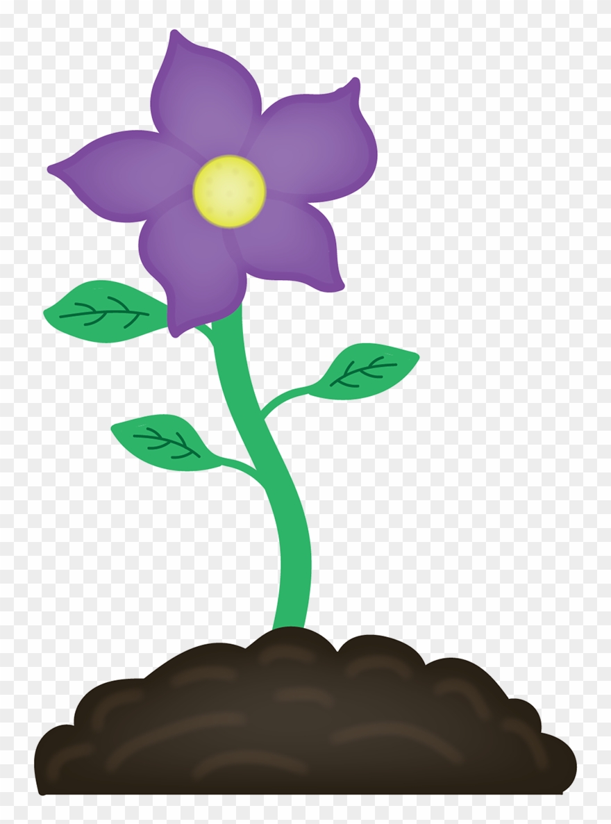 Icon Graphics Made For A Mobile App For An Aquaponics - Desert Rose Clipart