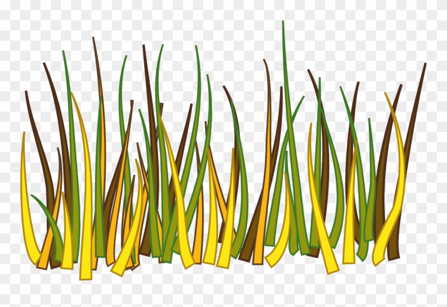 Big Image - Grass Drawing Png Clipart