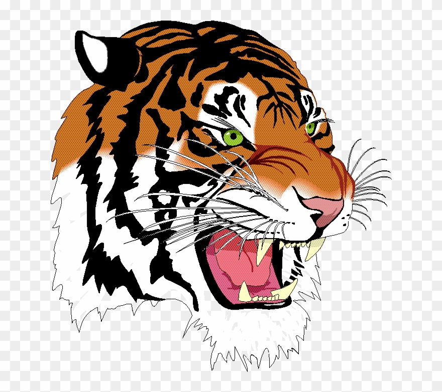 Tigers Shotokan Karate - Burlington Edison High School Logo Clipart