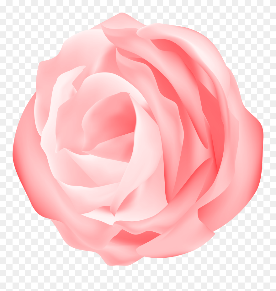 Free Download Portable Network Graphics Clipart Garden - Rose - Png Download