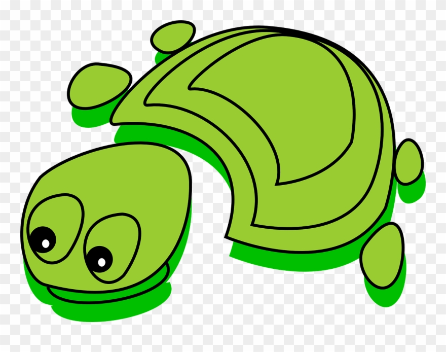 Turtle Cartoon Pics 23, Buy Clip Art - Tortoise Cartoon - Png Download