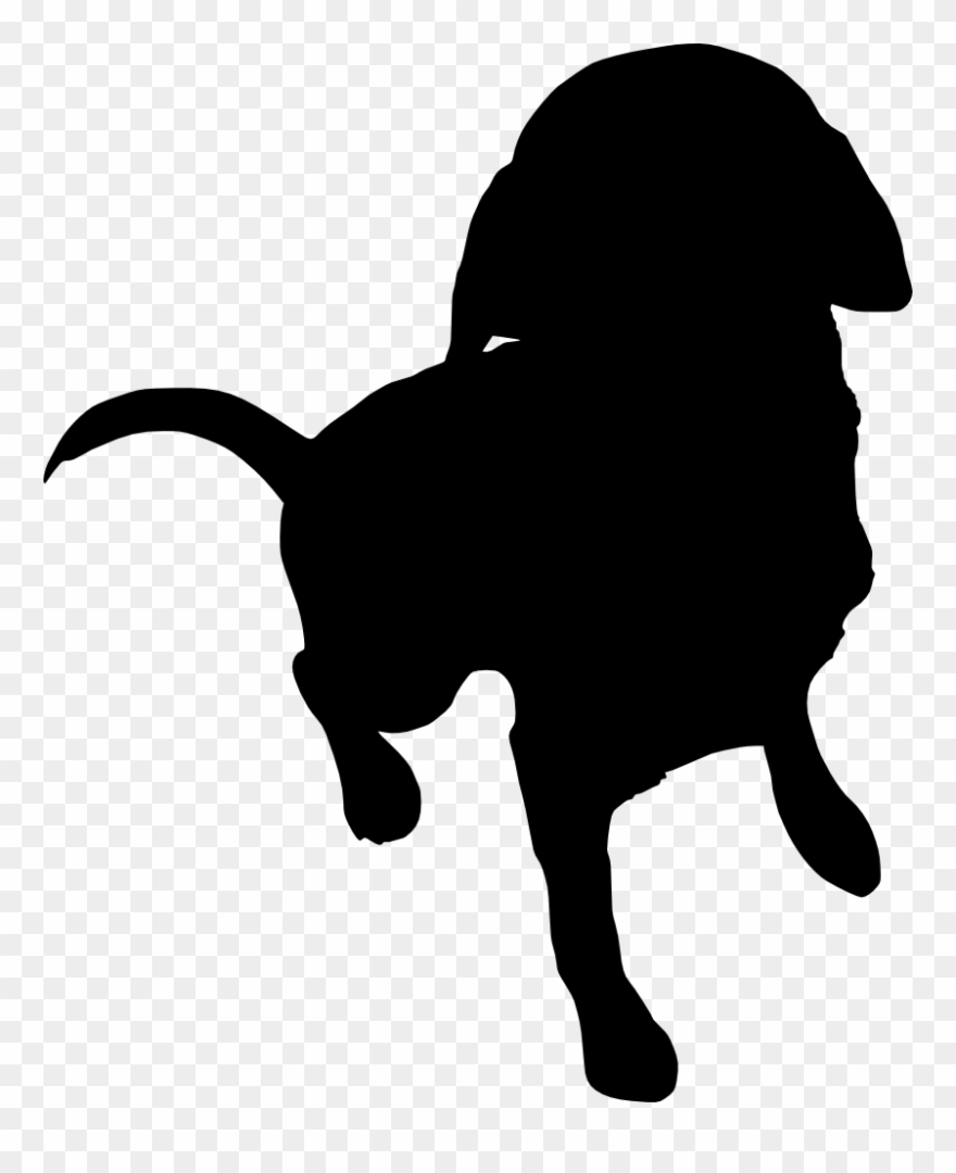 Free Download - Silhouette Transparent Background Transparent Black Clipart