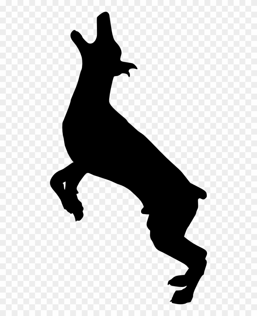 Free Download - Portable Network Graphics Clipart