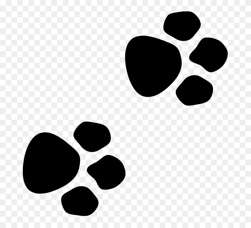 Paws, Traces, Animal, Icon, Silhouette, Reprint, Cat - Dog Traces Clipart