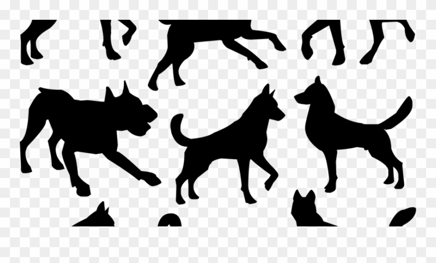 Breed Specific Legislation And Dog Bites Gslopen - Puppy Clipart