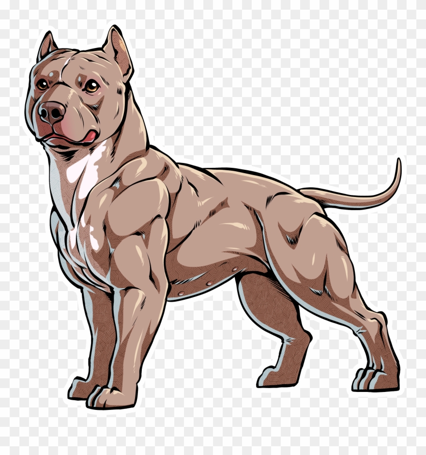 Why - Pitbull Png Clipart