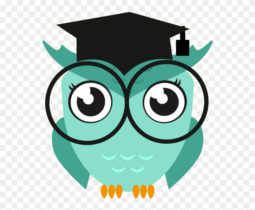 Clipart Math Owl - Cartoon - Png Download