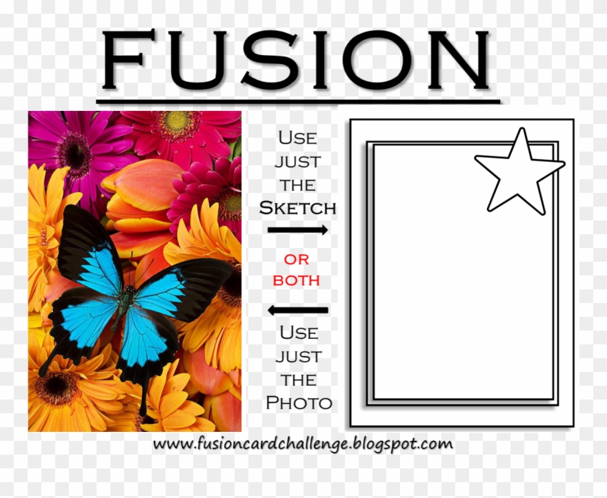 As You Know My Week Has Been Crazy Busy With Overtime - Best Drawing In Butterfly Clipart